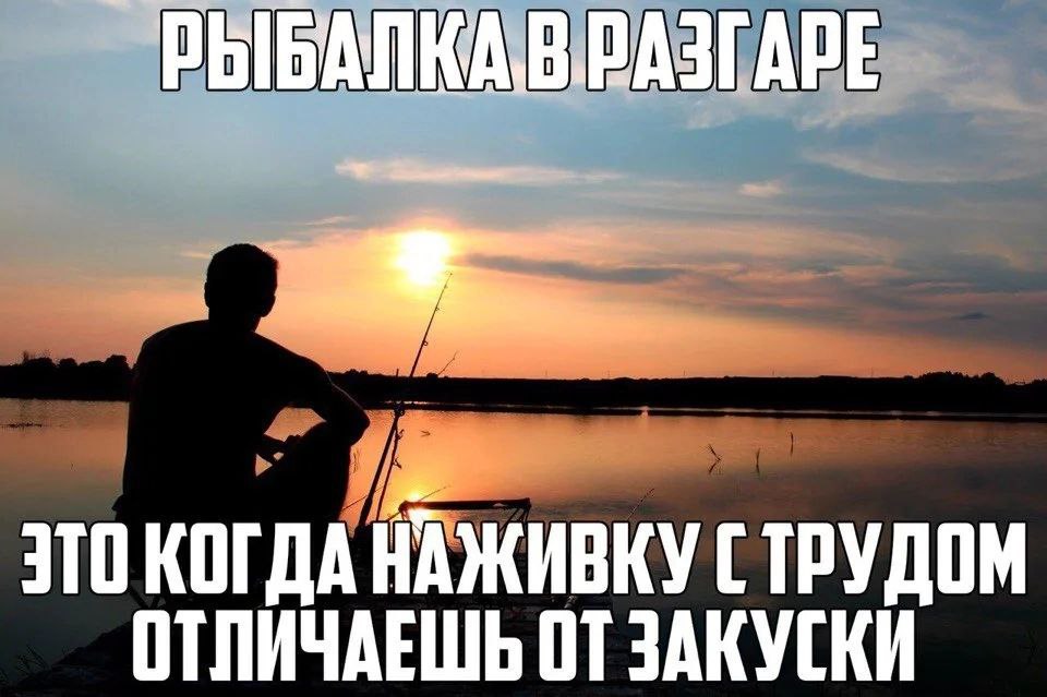 ЭТО КОГДА НАЖИВКУ С ТРУДОМ ОТЛИЧАЕШЬ ОТ ЗАКУСКИ