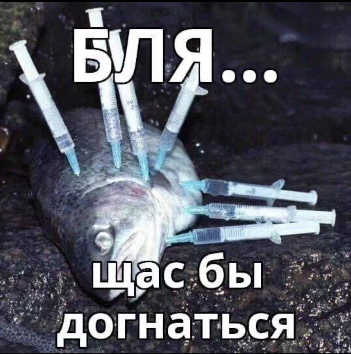 Я eee догнаться