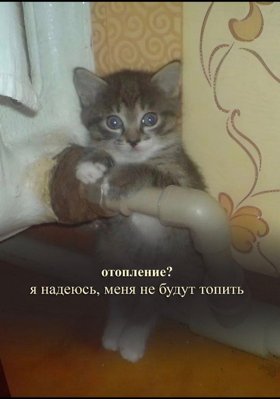отопление? я надеюсь, меня не будут ТОПИТЬ