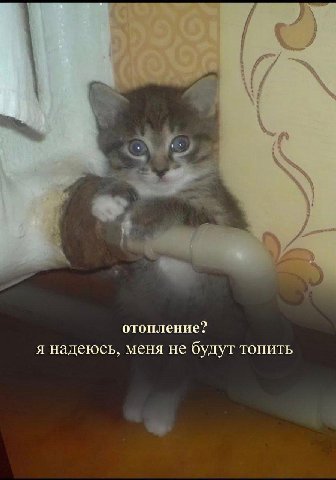отопление? я надеюсь, меня не будут ТОПИТЬ