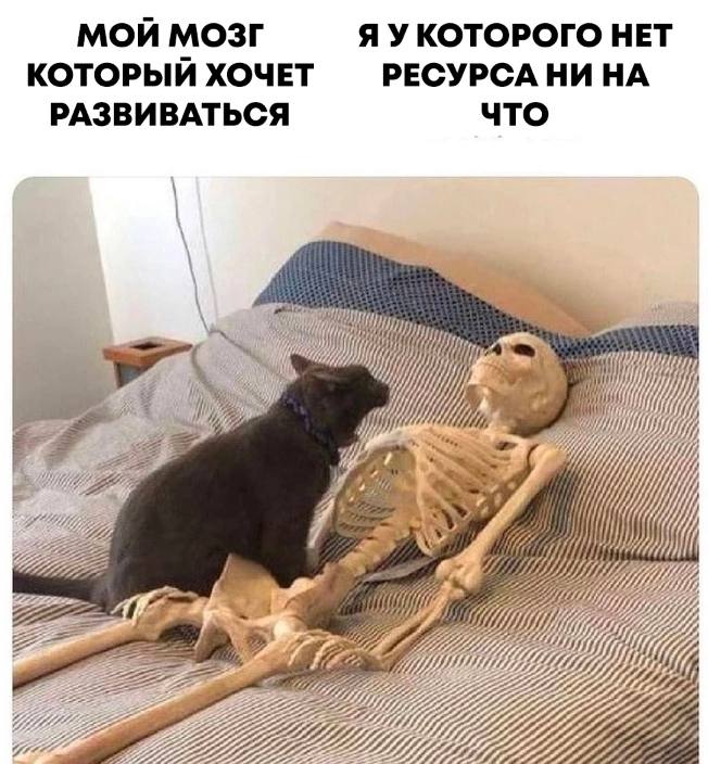 МОЙ МОЗГ Я УКОТОРОГО НЕТ КОТОРЫЙ ХОЧЕТ РЕСУРСА НИ НА РАЗВИВАТЬСЯ что i 222 3 7 i 222222