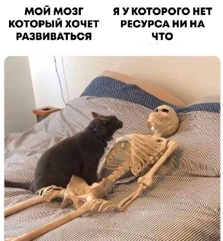 МОЙ МОЗГ Я УКОТОРОГО НЕТ КОТОРЫЙ ХОЧЕТ РЕСУРСА НИ НА РАЗВИВАТЬСЯ что i 222 3 7 i 222222