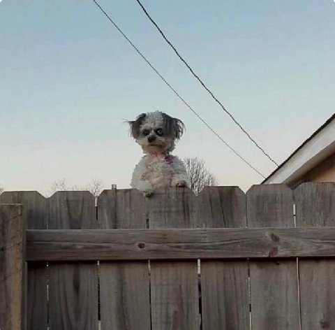 у