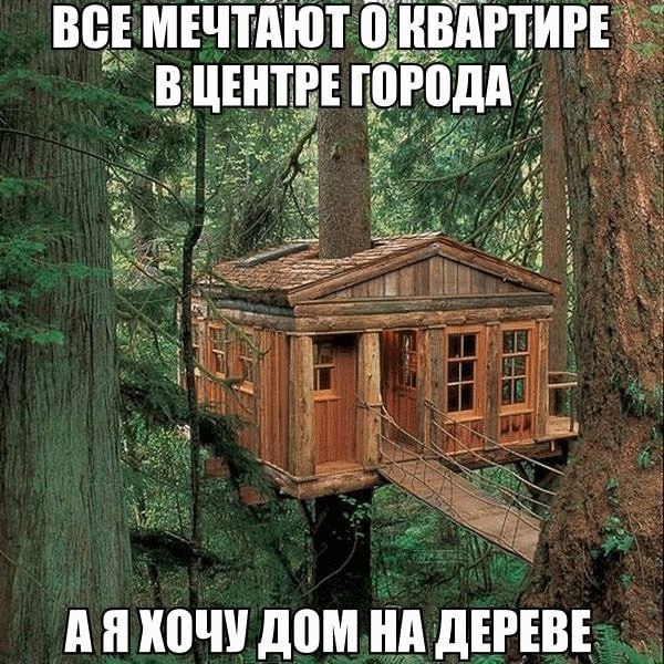 ВСЕ МЕЧТАЮТ 0 КВАРТИРЕ ЦЕНТРЕ ГОРОДА, КОЧУ ДОМ НА ДЕРЕВЕ