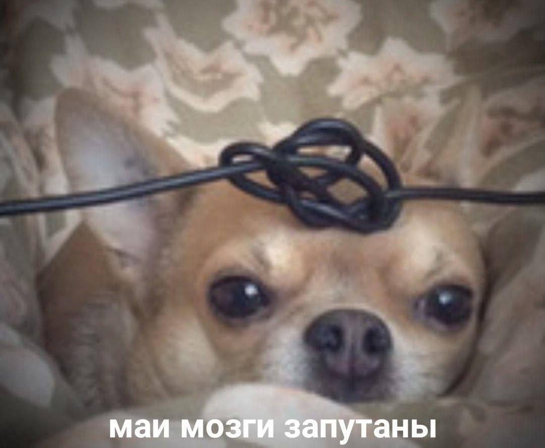 маи мозги запутаны