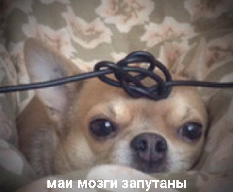 маи мозги запутаны