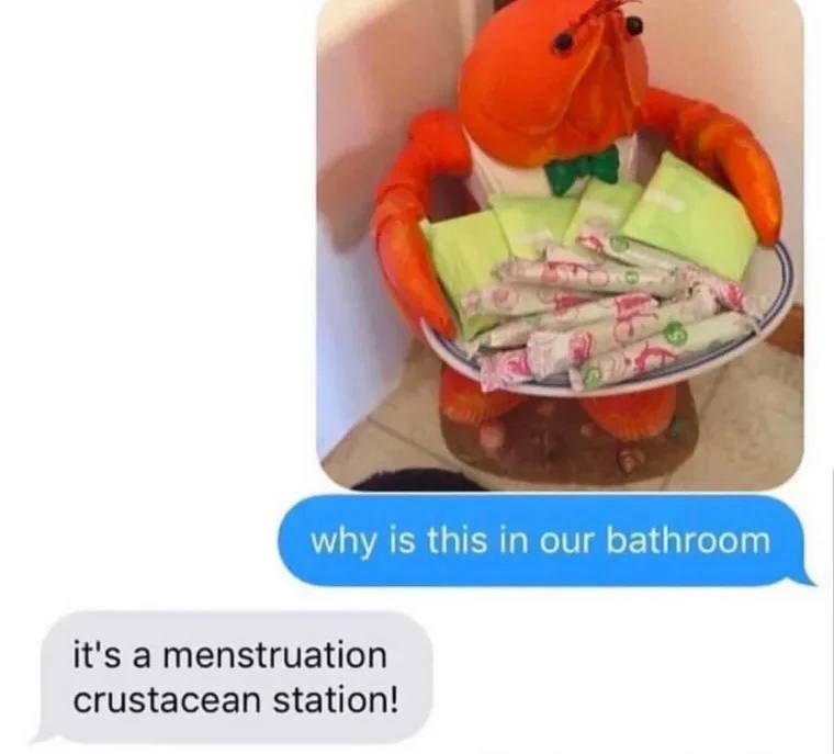 why is this in our bathroom it's a menstruation crustacean station!