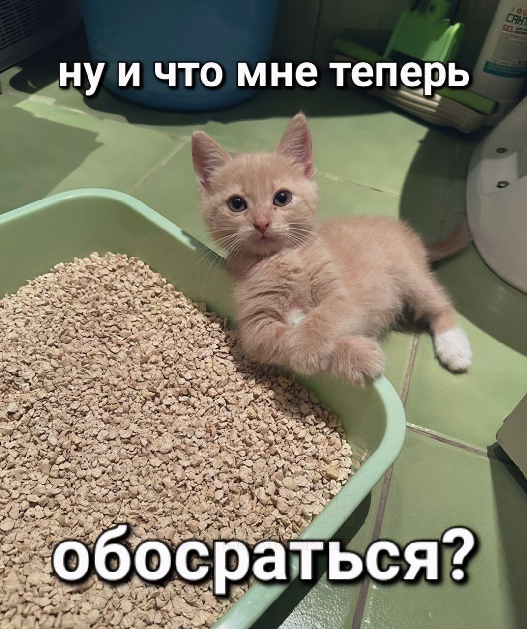 ну и что мне теперь a 2 oN об осраться?