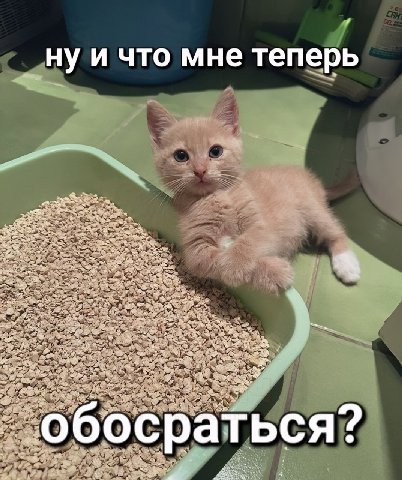 ну и что мне теперь a 2 oN об осраться?
