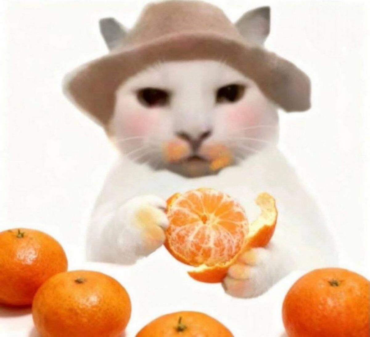 в