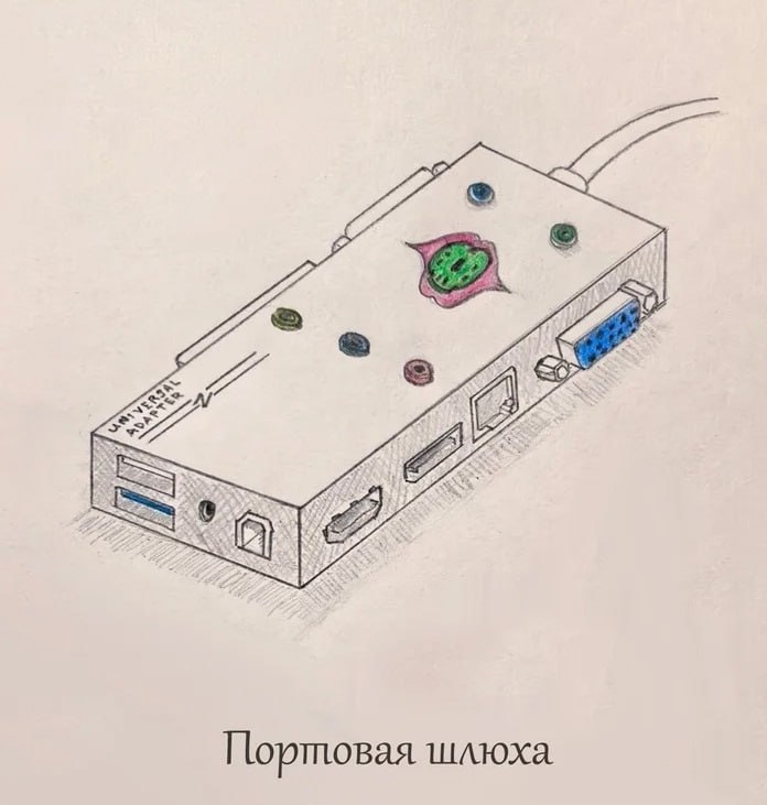 Портовая шлюха