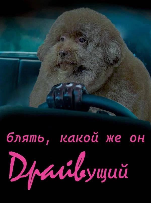 блять, какой же ущий