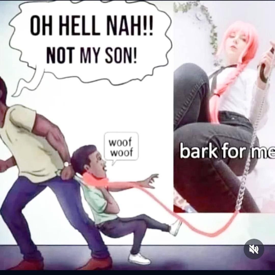 4 woot 6 woof bark