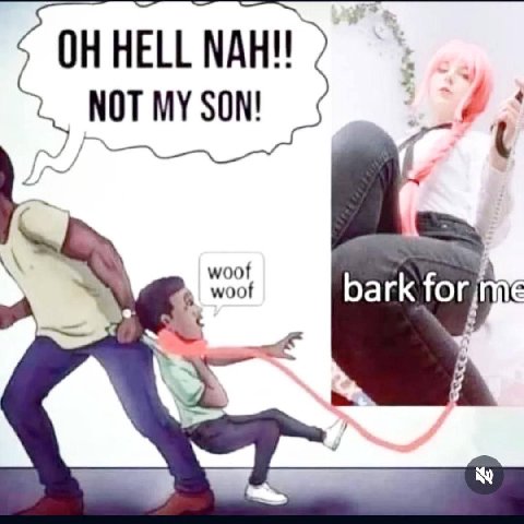 4 woot 6 woof bark