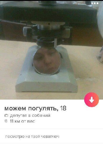5 можем погулять, 18 депутат в собачий Bac посмотрю твой чевапчеч