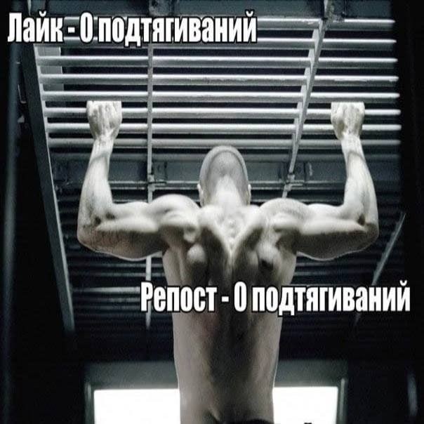 0 подтягиваний