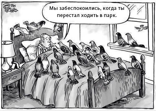 [Раю. Мы забеспокоились, когда ты перестал ходить в парк. у as Mate