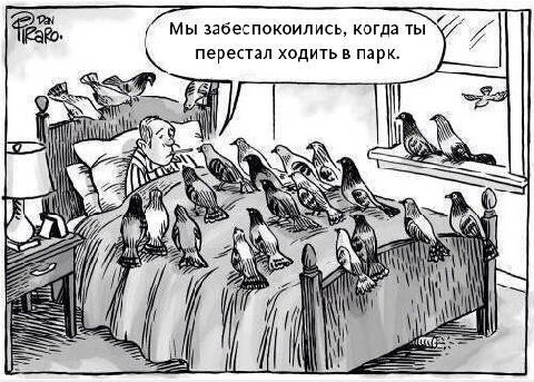 [Раю. Мы забеспокоились, когда ты перестал ходить в парк. у as Mate