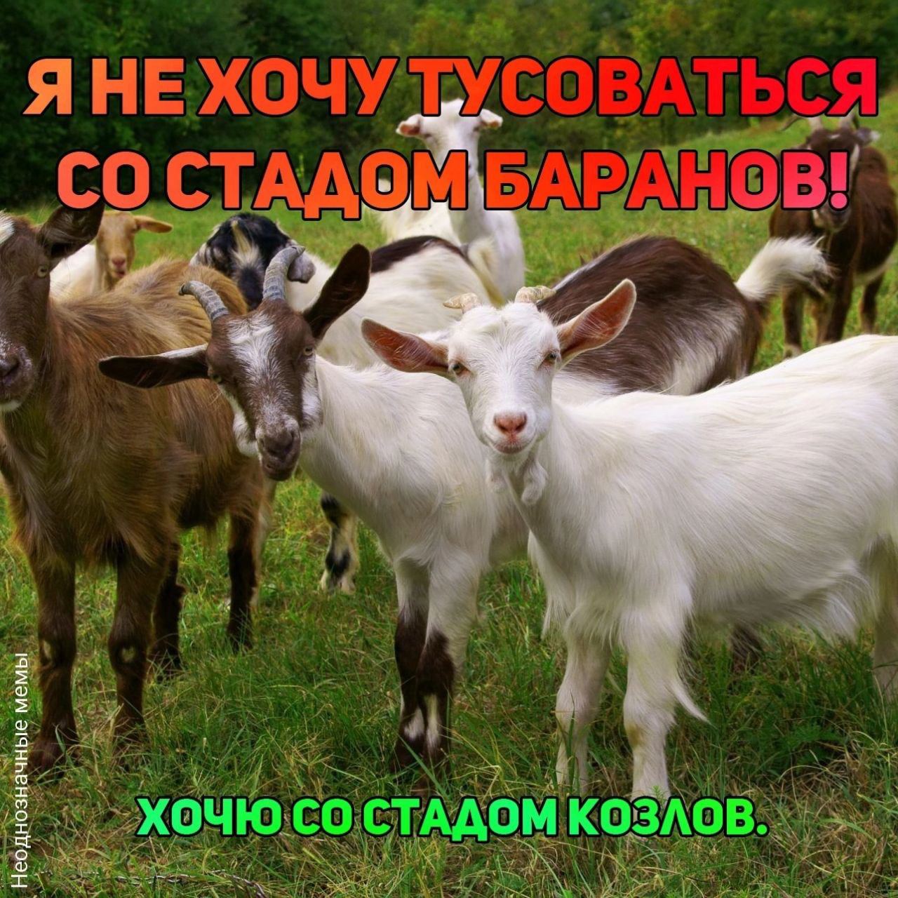 у 4 а 7 у we 3 5 5 5 5 я о