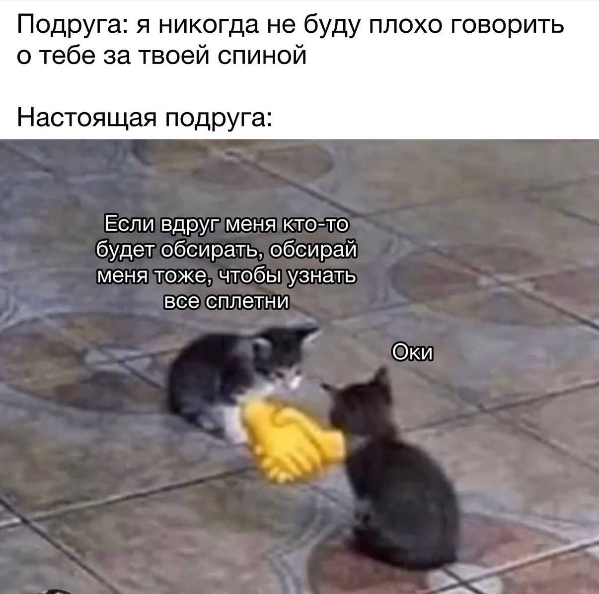 Подруга: я никогда не буду плохо говорить о тебе за твоей спиной Настоящая подруга: Если вдруг меня кто-то будет обсирать, обсирай меня тоже, чтобы узнать все сплетни Оки