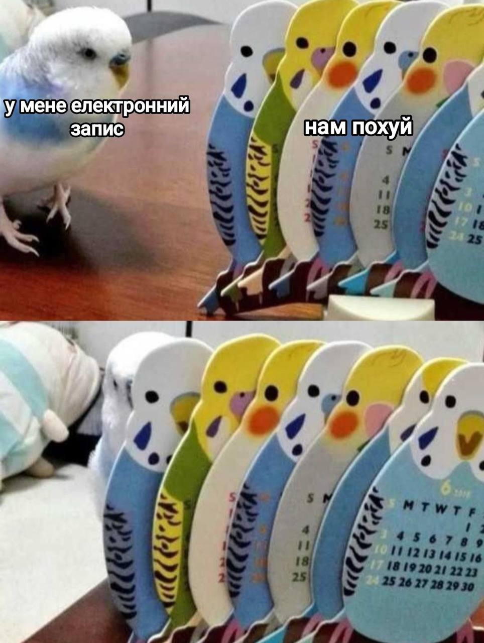 и мене електронний запис нам похуй
