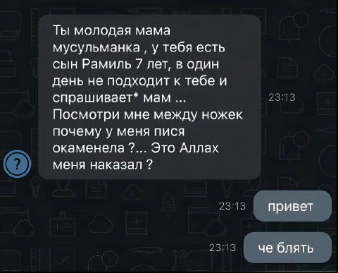 Ты молодая мама мусульманка у тебя есть сын Рамиль 7 лет, в один день не подходит к тебе и спрашивает* мам Посмотри мне между ножек почему у меня пися окаменела Это Аллах меня наказал привет че блять