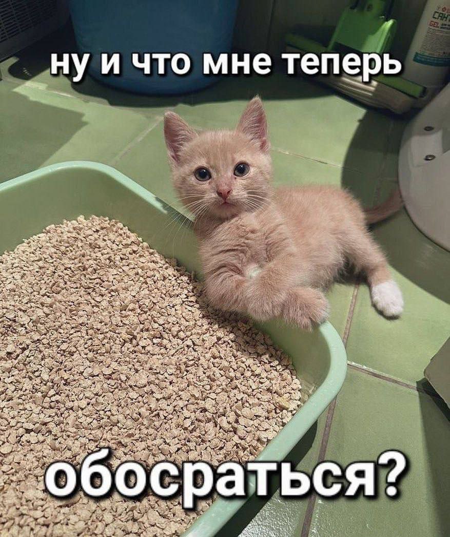 4 нуи что мне теперь i У a 43 2% а