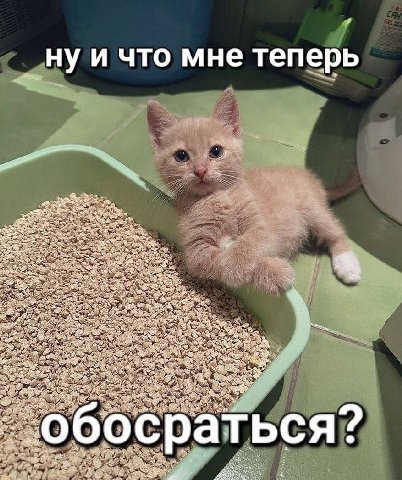 4 нуи что мне теперь i У a 43 2% а