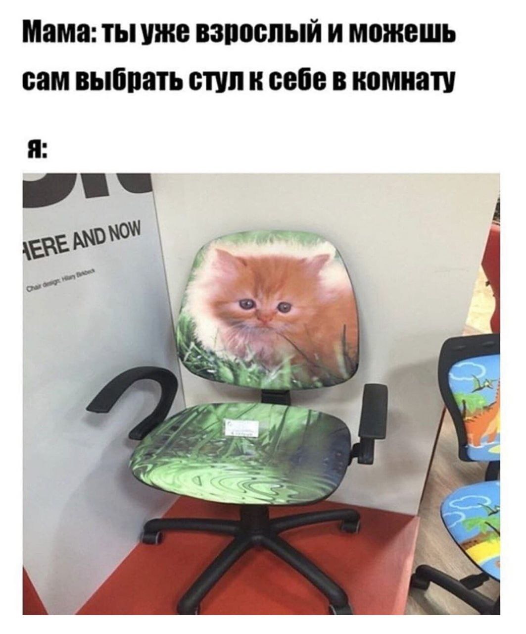 Мама: ты уже взрослый и можешь сам выбрать стул к себе в комнату