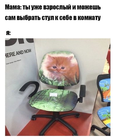 Мама: ты уже взрослый и можешь сам выбрать стул к себе в комнату