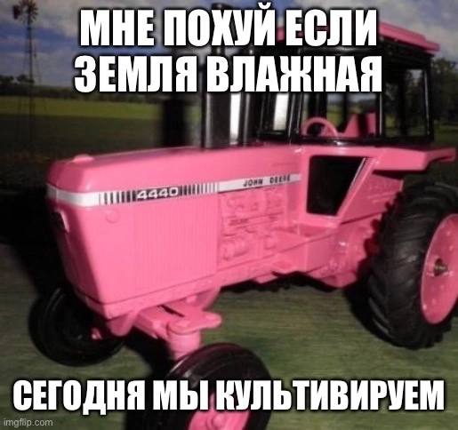 МНЕ ПОХУИ ЕСЛИ ЗЕМЛЯ ВЛАЖНАЯ СЕГОДНЯ МЫ КУЛЬТИВИРУЕМ