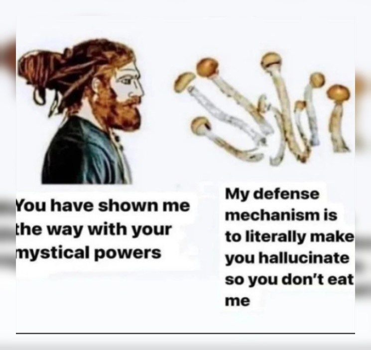 6. 9) у My defense You have shown me mechanism is the way with your to literally make, mystical powers you hallucinate so you don't eat me