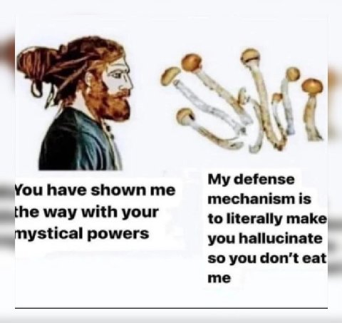6. 9) у My defense You have shown me mechanism is the way with your to literally make, mystical powers you hallucinate so you don't eat me