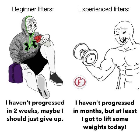 Experienced lifters: Beginner lifters {2 4 А haven't progressed haven't progressed in 2 weeks, maybe in months, but at least should just give up. I got to lift some weights today!