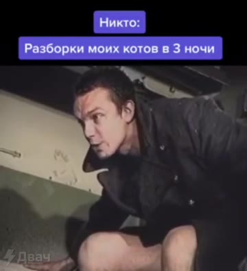 Разборки моих котов в 3 ночи