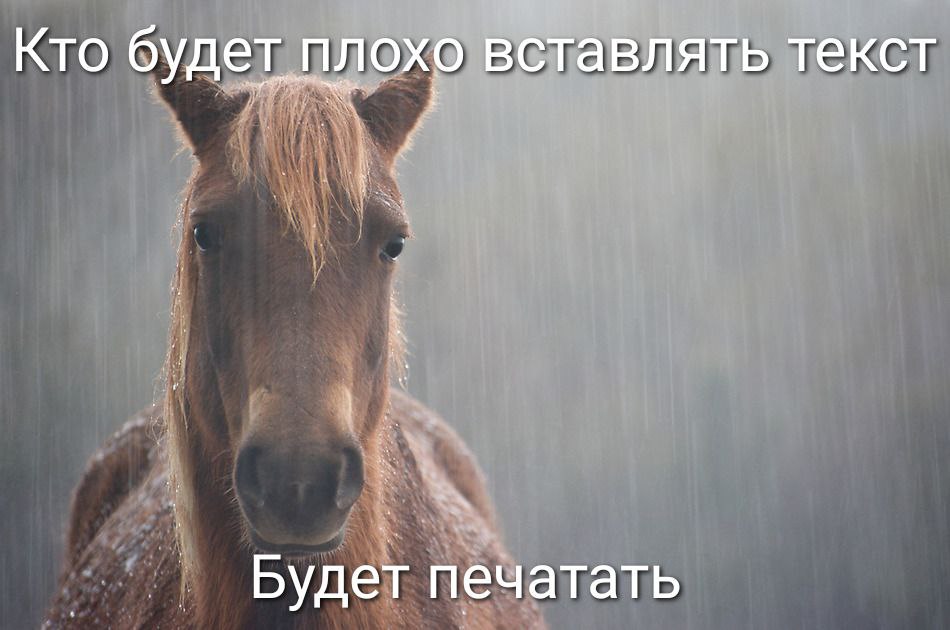 Кто будет плохо вставлять текст печатать