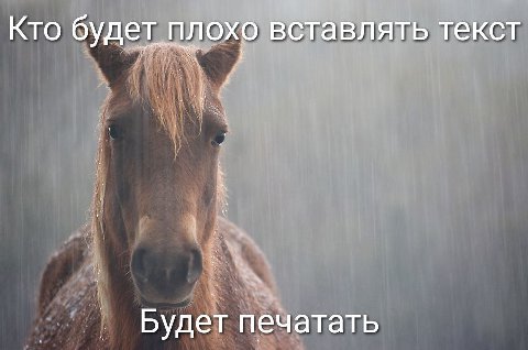 Кто будет плохо вставлять текст печатать