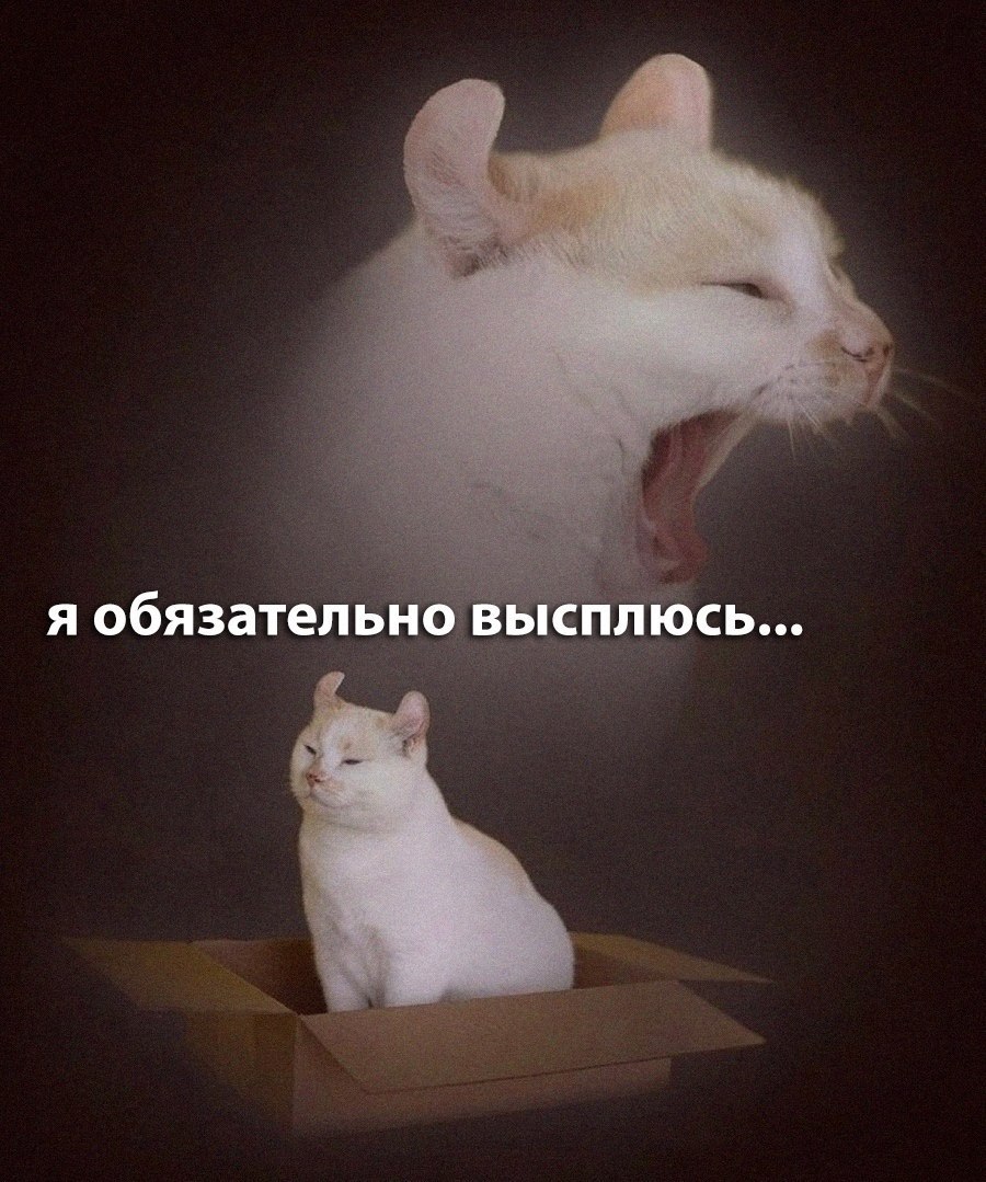я обязательно высплюсь...