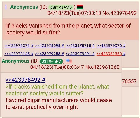 Anonymous р8тха+мо 04/18/23(Tue)07:33:13 No.423978492 if blacks vanished from the planet, what sector of society would suffer? >>423978578 >>423978698 >>423978718 >>423979076 >>423979145 >>423979258 >