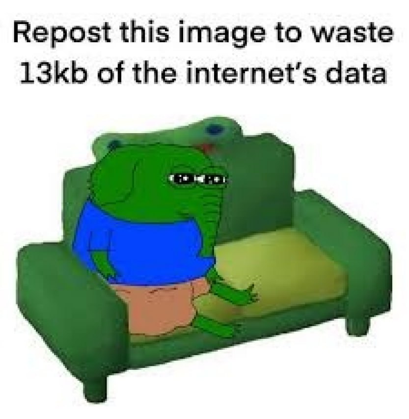 Repost this image to waste of the internet's data