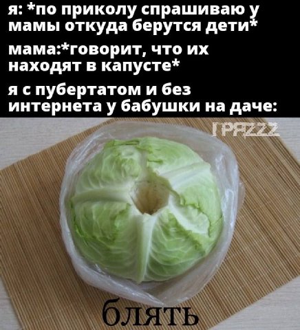 я: *по приколу спрашиваю у мамы откуда берутся дети мама:*говорит, что находят в капусте* я спубертатом и без интернета у бабушки на даче: