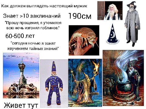Предложка
