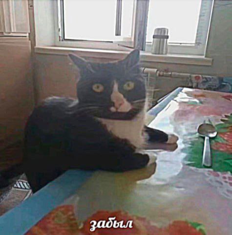 Паблик