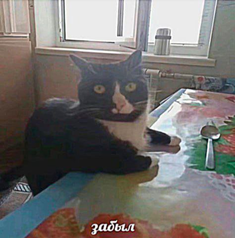 Паблик