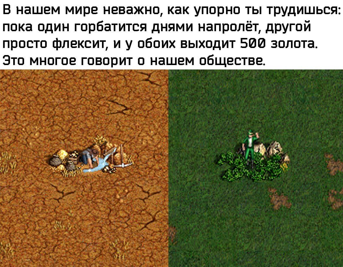 В нашем мире неважно, как упорно ты трудишься: пока один горбатится днями напролёт, другой просто флексит, и у обоих выходит 588 золота. Это многое говорит о нашем обществе.