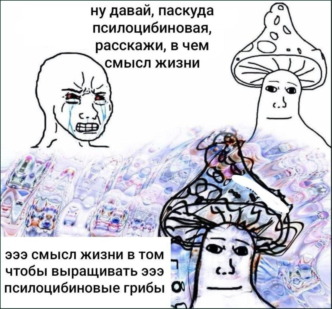 ну давай, паскуда Я псилоцибиновая, расскажи, в чем смысл жизни 2} эээ смысл жизни в том 7 чтобы выращивать эээ псилоцибиновые грибы