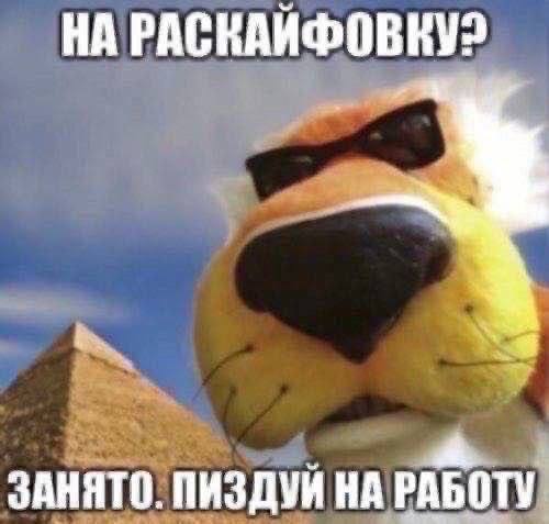 7) НА РАСКАИФОВКУ ЗАНЯТО ПИЗДУИ НА РАБОТУ