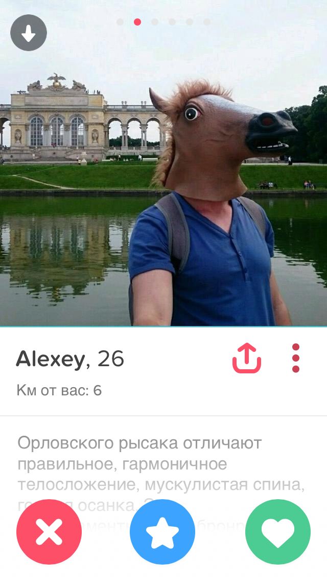 о 2 Alexey, 26 iT, от вас: 6 Орловского рысака отличают