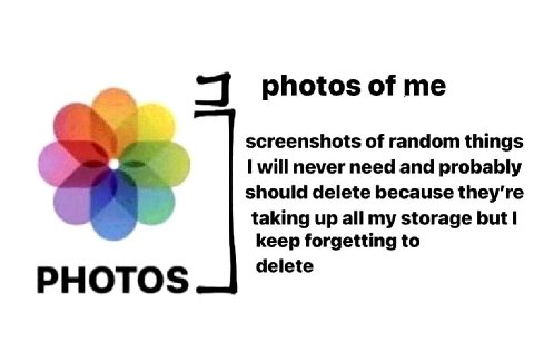 photos of screenshots of random things will never need and probably should delete because they’re taking up all my storage but keep forgetting to delete PHOTOS