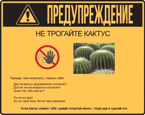 НЕ ТРОГАЙТЕ КАКТУС Прежде, чем потрогать, спроси себя: Дал ли кактус выраженное согласие? Достиг ли он возраста согласия? Знает ли тебя кактус? Ты не друг. Он не твой мух. Он не твоя девушка. Если как